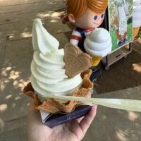 メロン狩り🍈