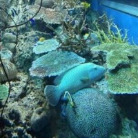 水族館🐬🐟🐠✨