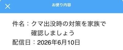 え？！熊🐻️😳💓