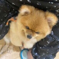 残り2日‼️