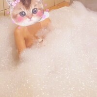 さいか