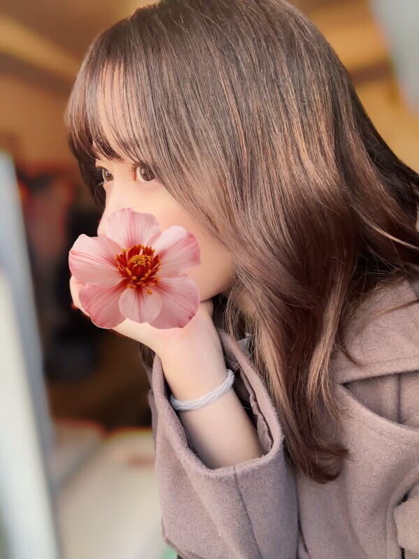 あたたかい春の兆しをもろもろ