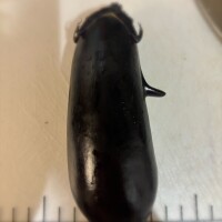 こんなの、、初めてッ、、！
