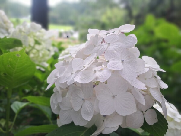 ありがとうございます✨