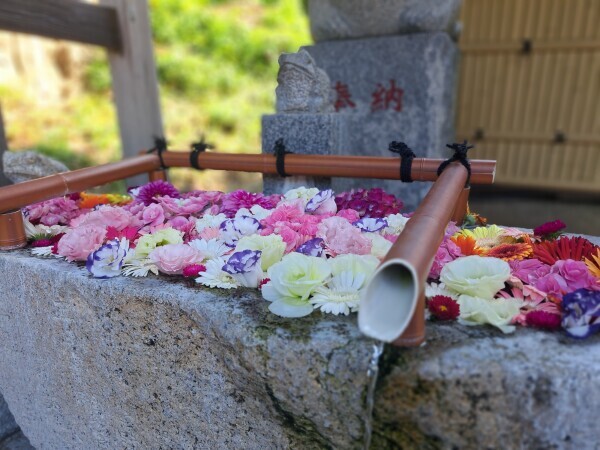 ありがとうございました♡