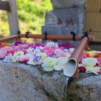五十嵐れい
