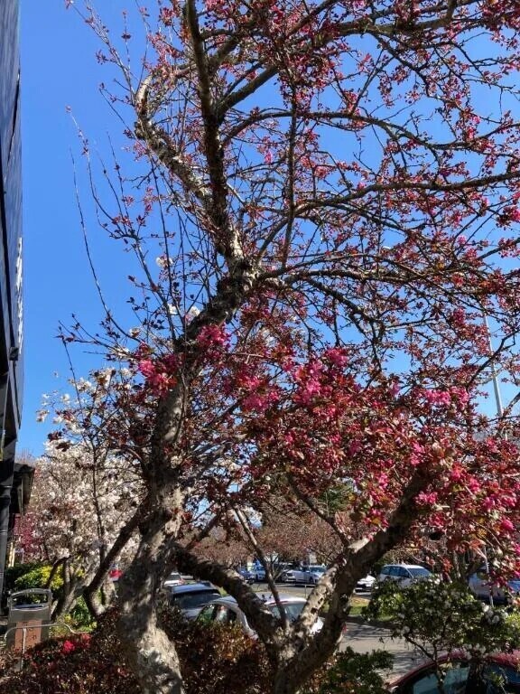 12時から出勤します。