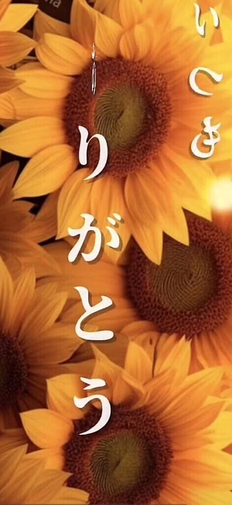 いつもありがとう❣️