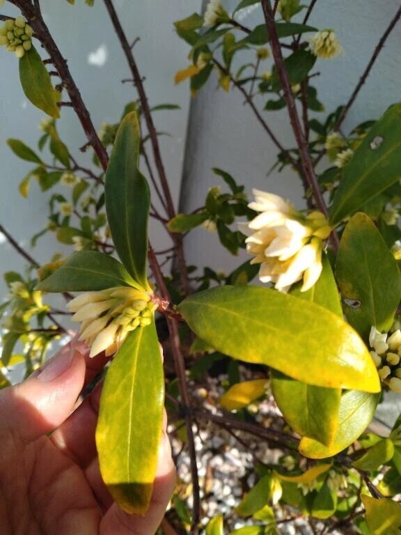 ♫テケテケ💨クンクン👃🎶