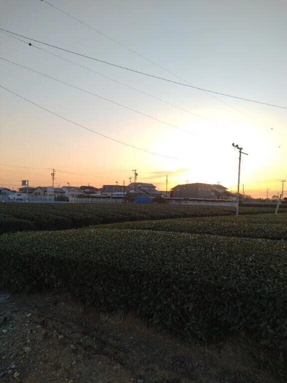 1週間お疲れ様でした🙋💕🙇🌠