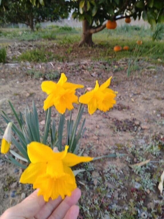 ✨️金曜日ですね😌♪✨️♬✨️