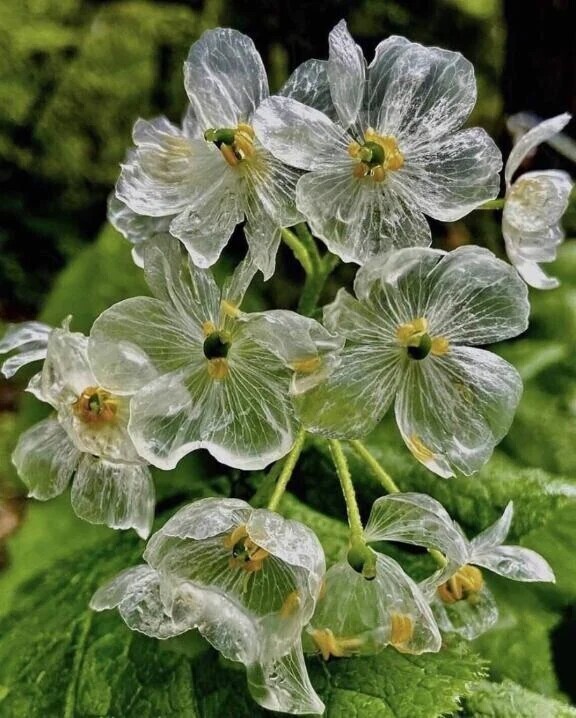 出勤しました〜。