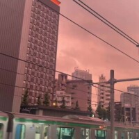 紺藤
