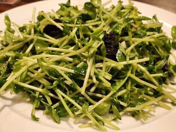 豆苗🌱