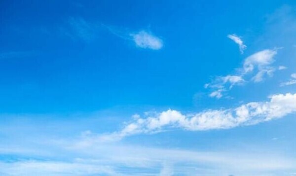 晴れの日17時〜います