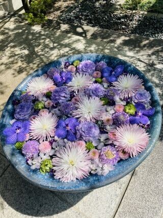 おはようございます*.¨