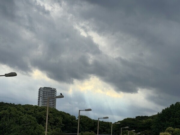 光の刺す方へ
