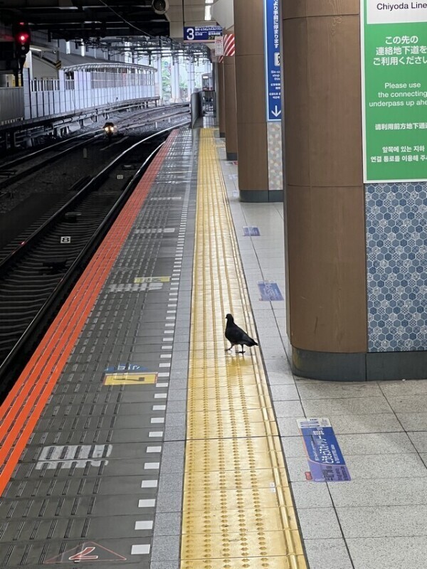 あの道