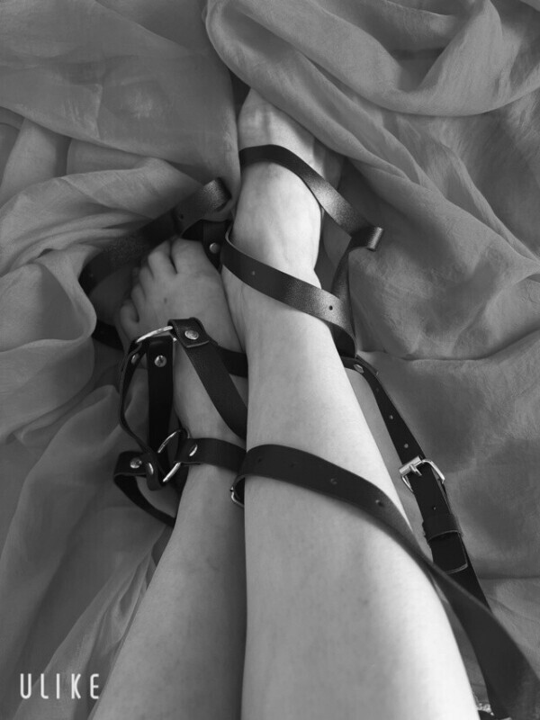 アオゾラの行方