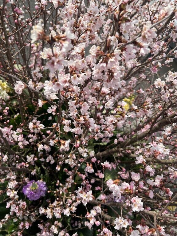 知らないでいてね