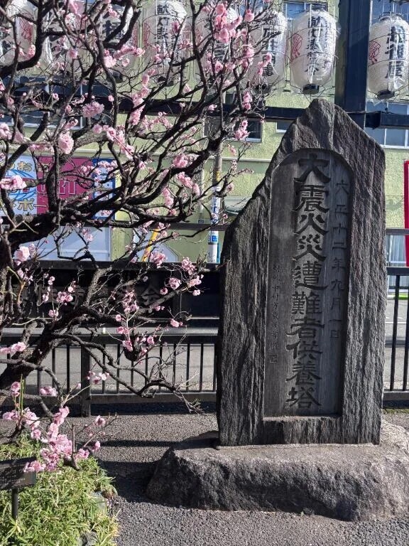 甘い余韻と早春の気配🌸