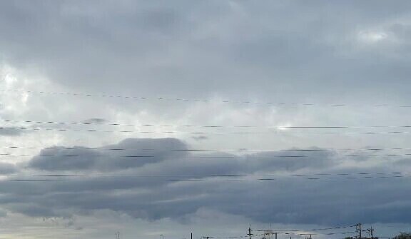 紺藤のひとり言