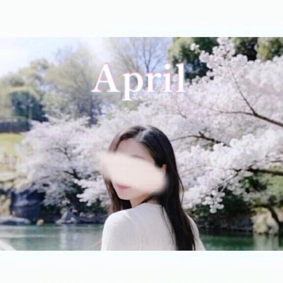 花便り