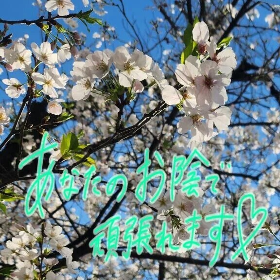 ヒノキ花粉⁉️🤧