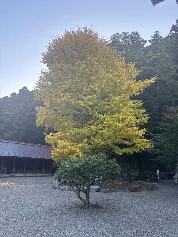 深い悲しみ
