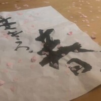 紺藤