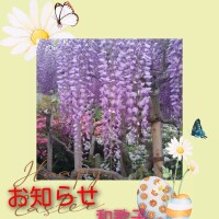 和歌子