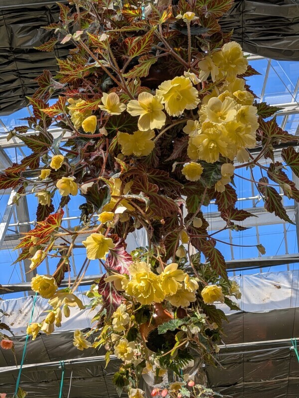 変更時間のお知らせ