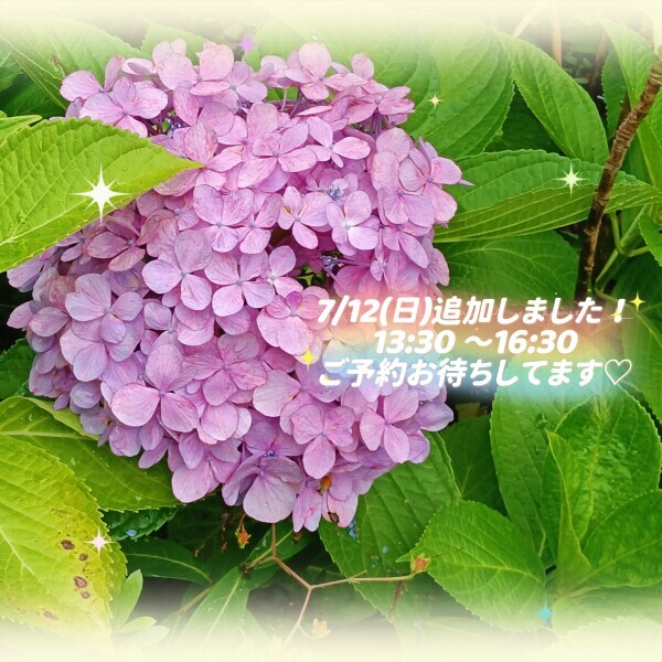 またまた