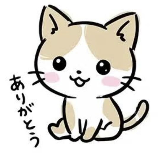 ꕤ.( ˙꒳​˙ᐢ ) ｺﾝﾊﾞﾝﾜꔛ‬ꕤ