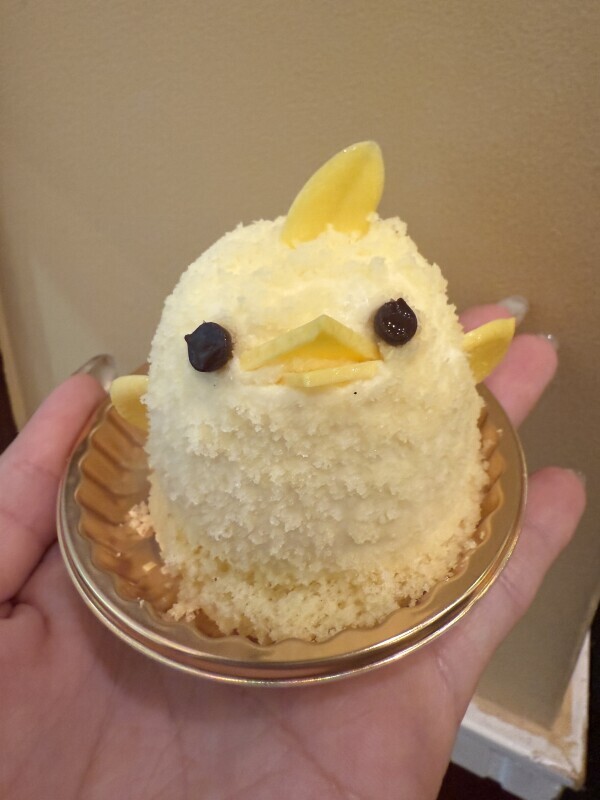 初出勤ありがとうございました！ヨゾラ