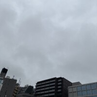 西川小雪
