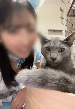 しっぽフリフリなエビス様🐾
