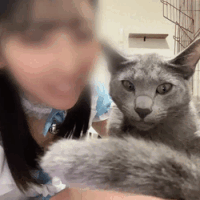 らん
