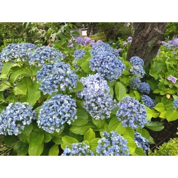 明日います🍒︎✩