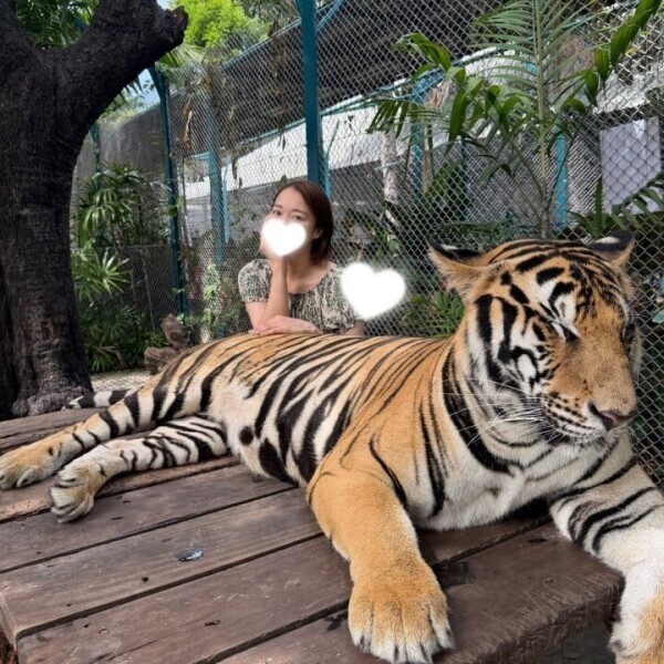 トラ🐯💕