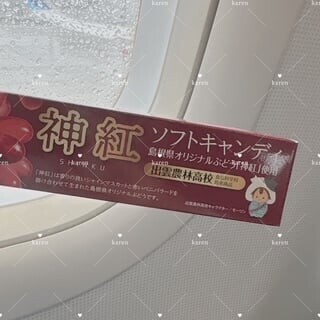 image1.jpeg