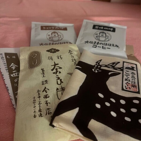 🦌かわいすぎる🥺🤍動物大好き🐾