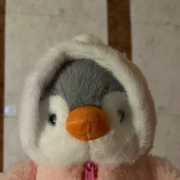 かわいすぎる🐧🥺