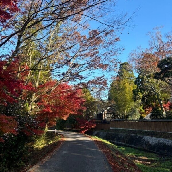 朝5時起き慣れてきた🥺❤️‍🔥