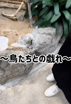 ビビりです笑