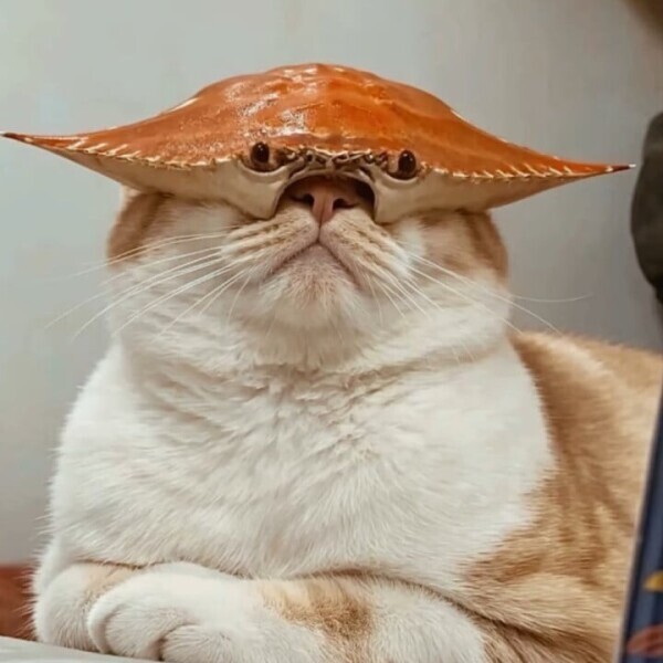 間違えた😽💓