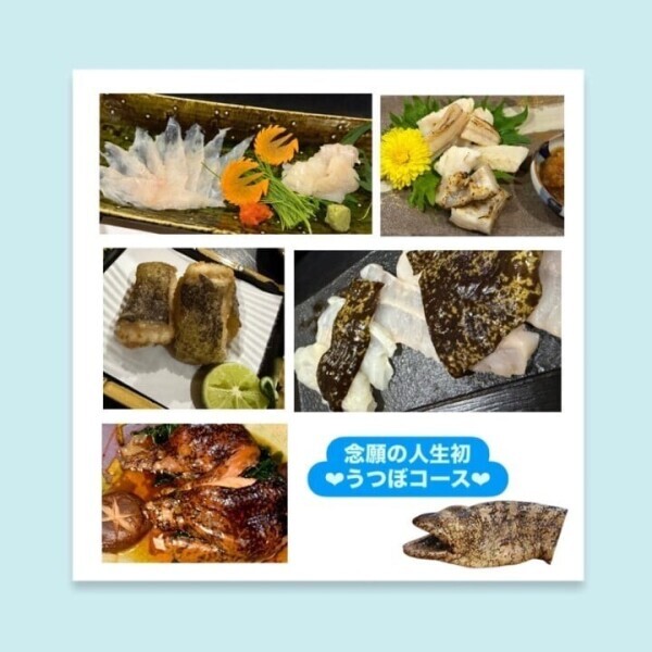 ウツボコース😍
