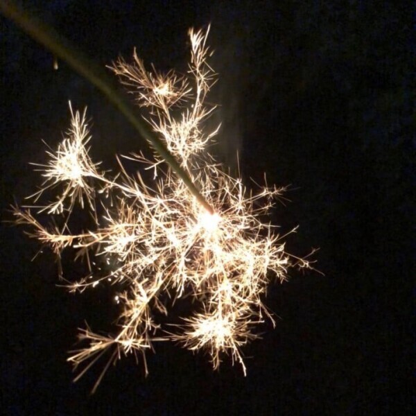 今年は見れるかな？💫💓