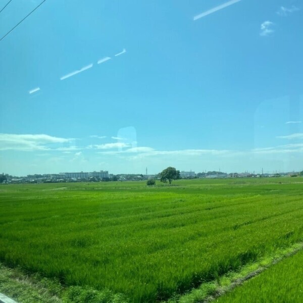 おはよー🌻⭐️