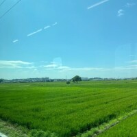 ゆのん